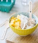 Paleo AIP Pap (Porridge) van EetPaleo